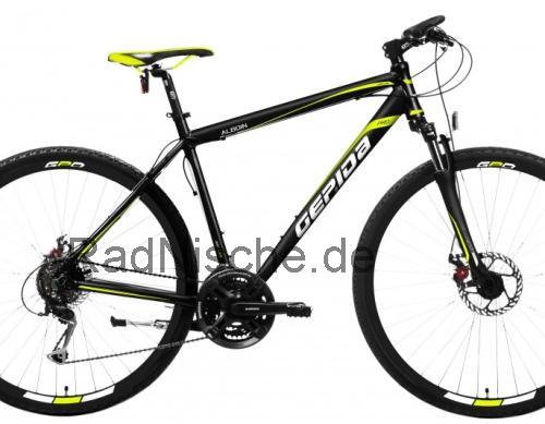 Gepida Alboin 300 Pro  technische daten 
